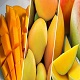 This is the thumbnail of the item